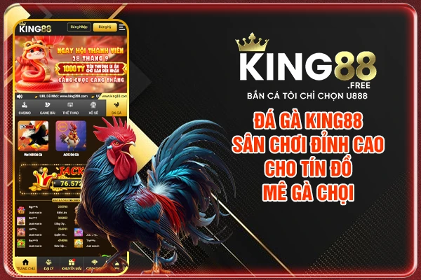 Đá Gà King88 - Sân Chơi Đỉnh Cao Cho Tín Đồ Mê Gà Chọi