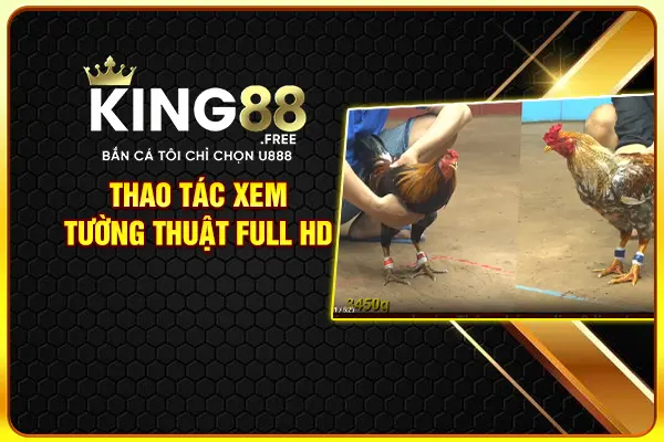 Thao tác xem tường thuật full HD Thao tác xem tường thuật full HD