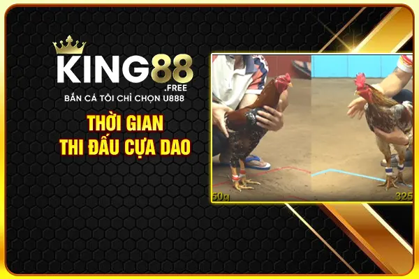 Thời gian thi đấu cựa dao Thời gian thi đấu cựa dao